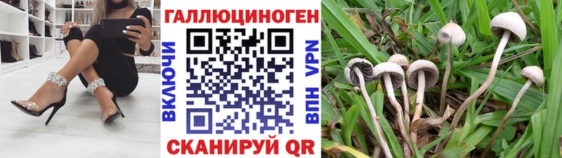 Галлюциногенные грибы GOLDEN TEACHER  закладка  Зеленогорск 
